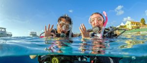 OPEN WATER DIVER BUCEO PADI curso de buceo escuela de buceo open water scuba diver